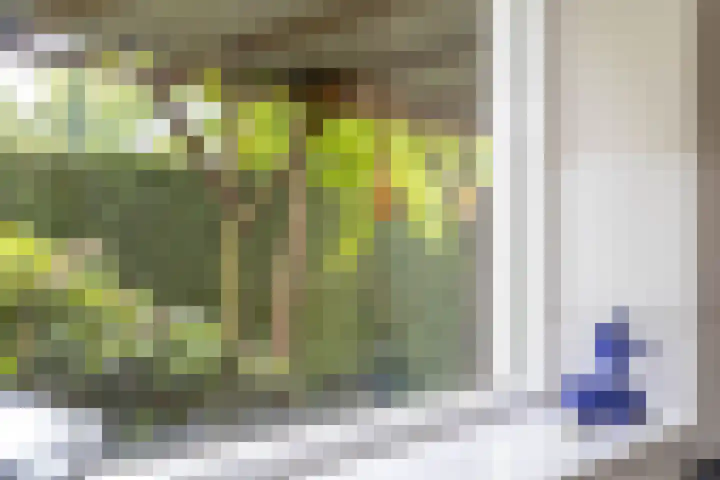 Patrijsakkers 21 Heiloo thumbnail 21