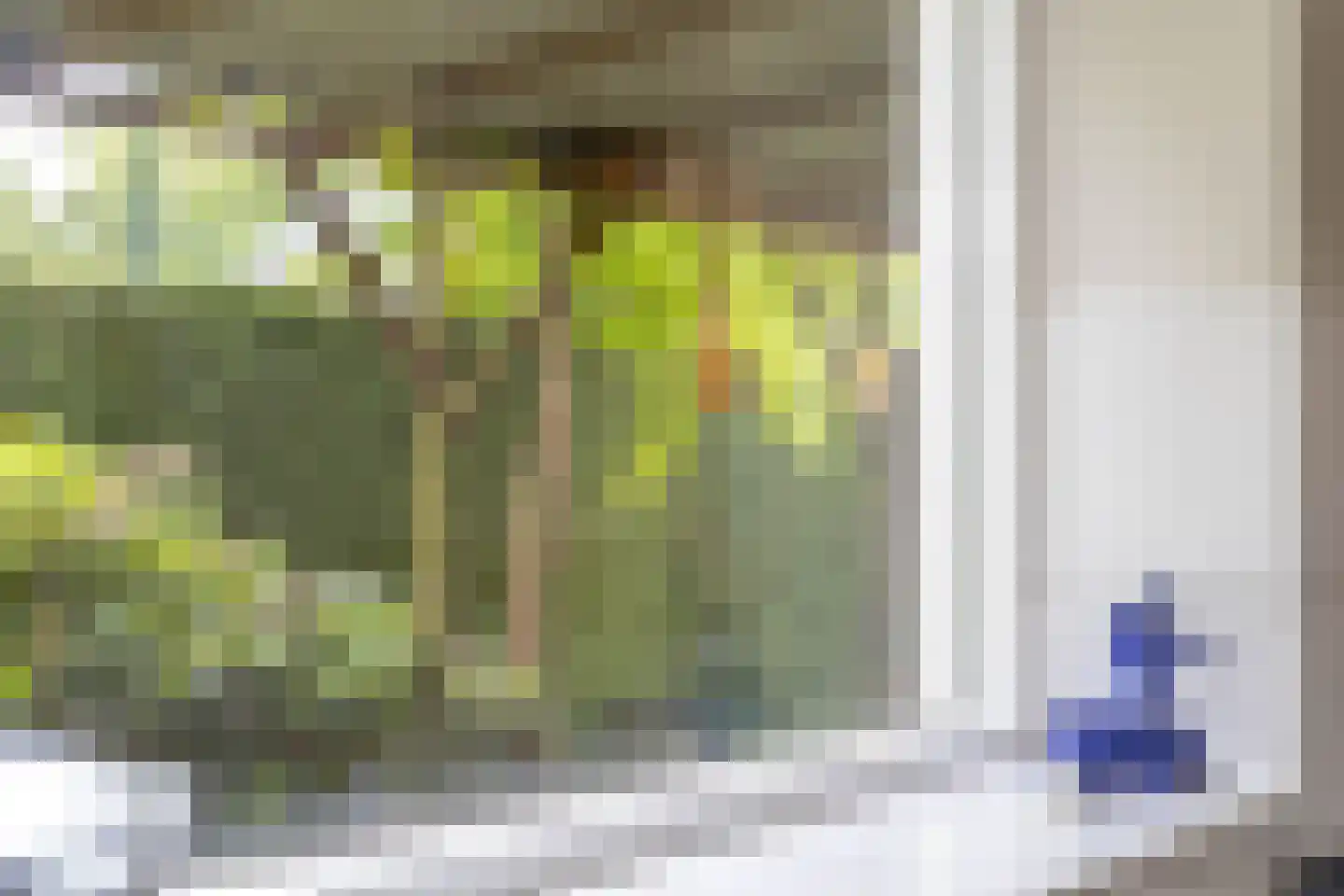 Patrijsakkers 21 Heiloo thumbnail 21