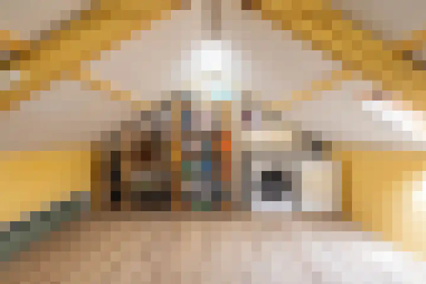 Patrijsakkers 21 Heiloo thumbnail 31