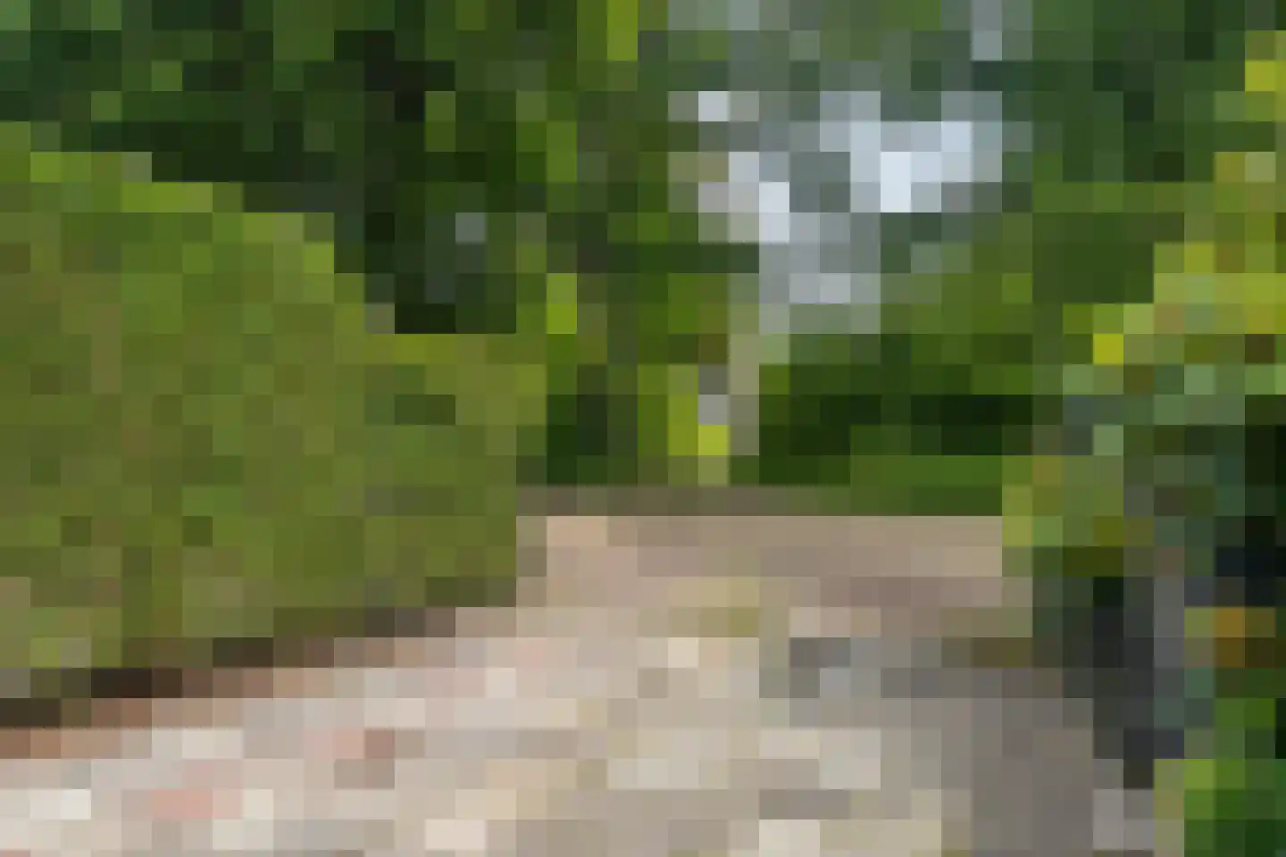 Patrijsakkers 21 Heiloo thumbnail 33