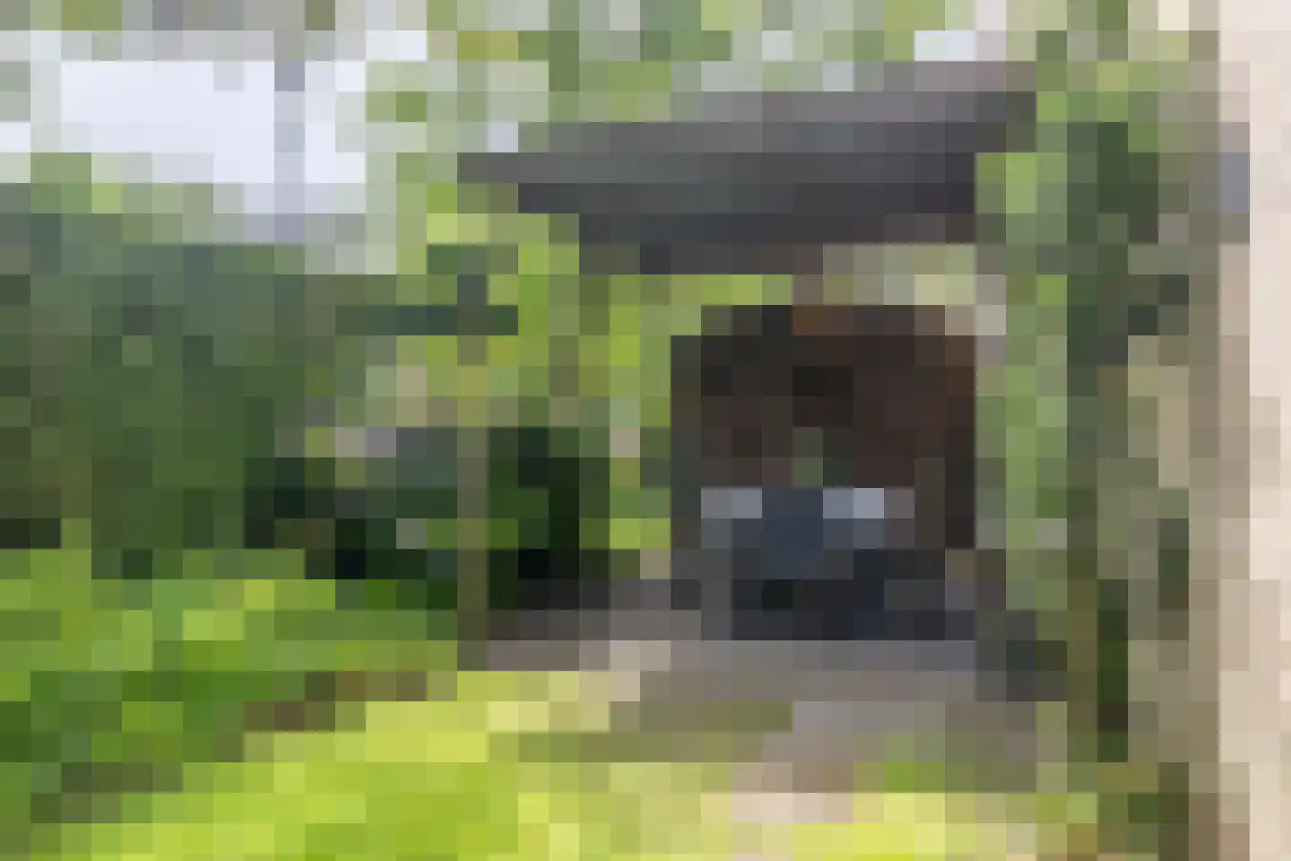 Patrijsakkers 21 Heiloo thumbnail 35