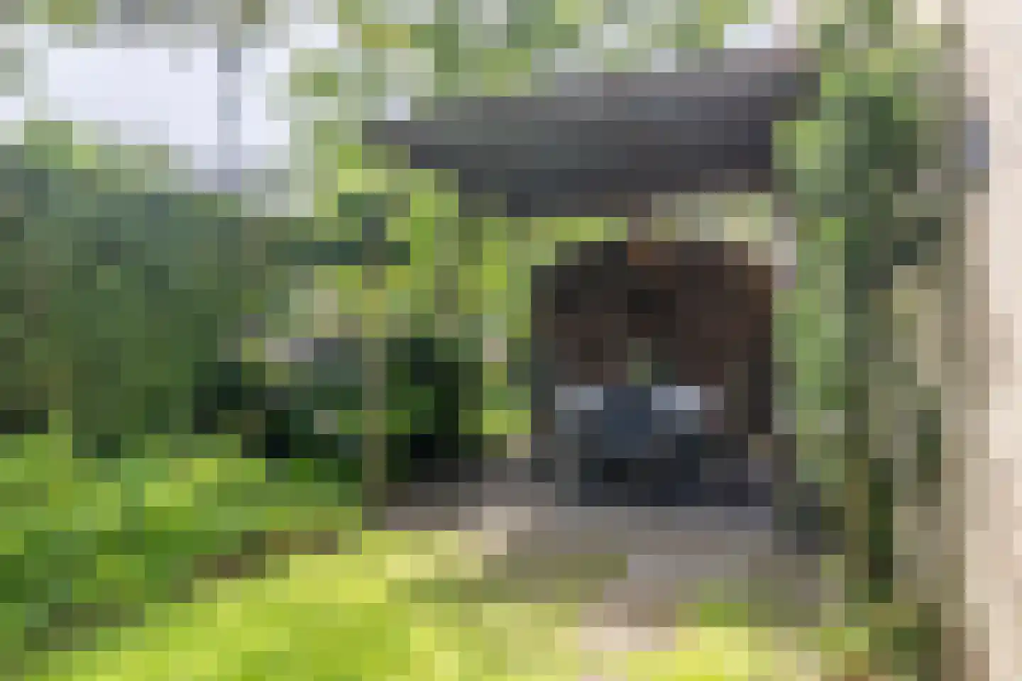 Patrijsakkers 21 Heiloo thumbnail 35