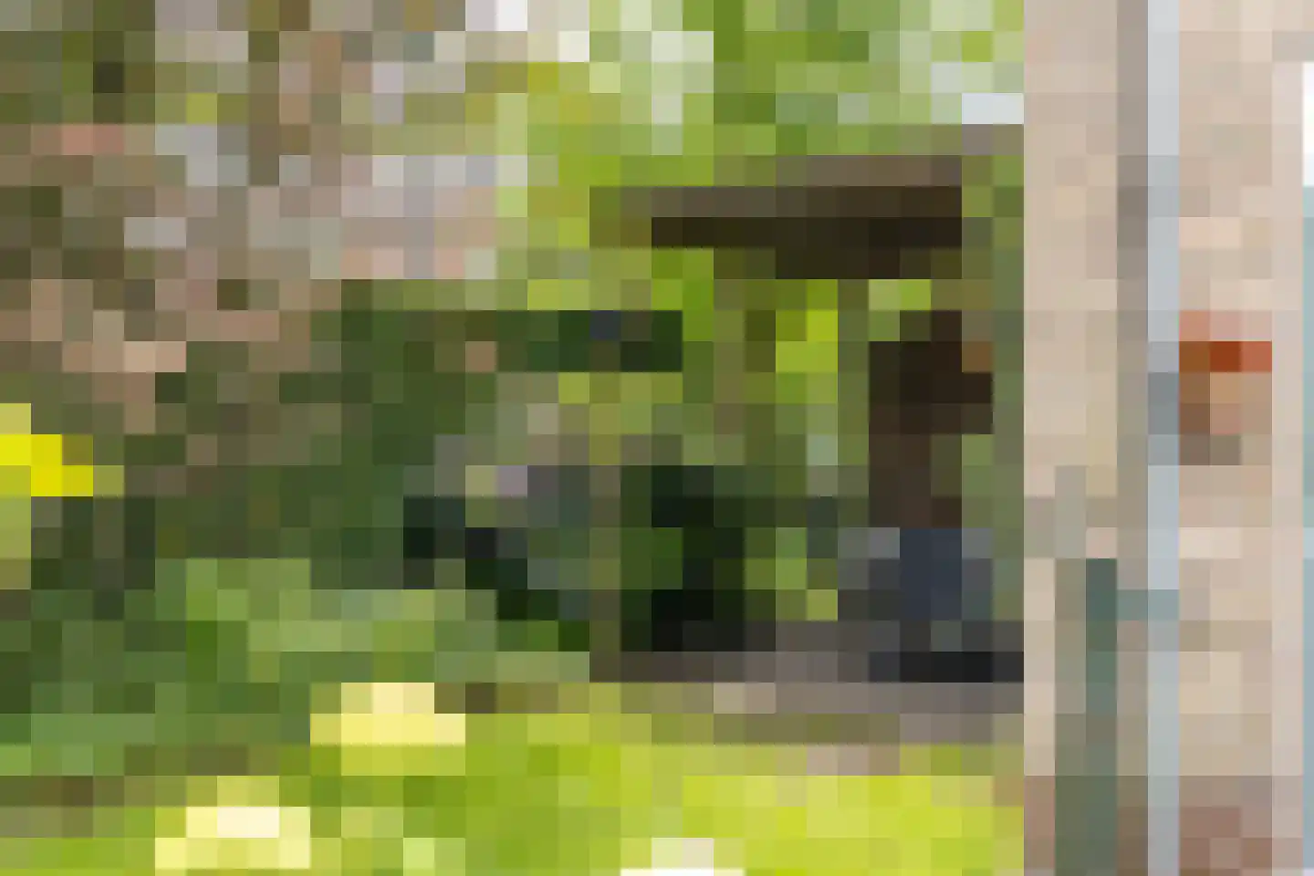 Patrijsakkers 21 Heiloo thumbnail 36