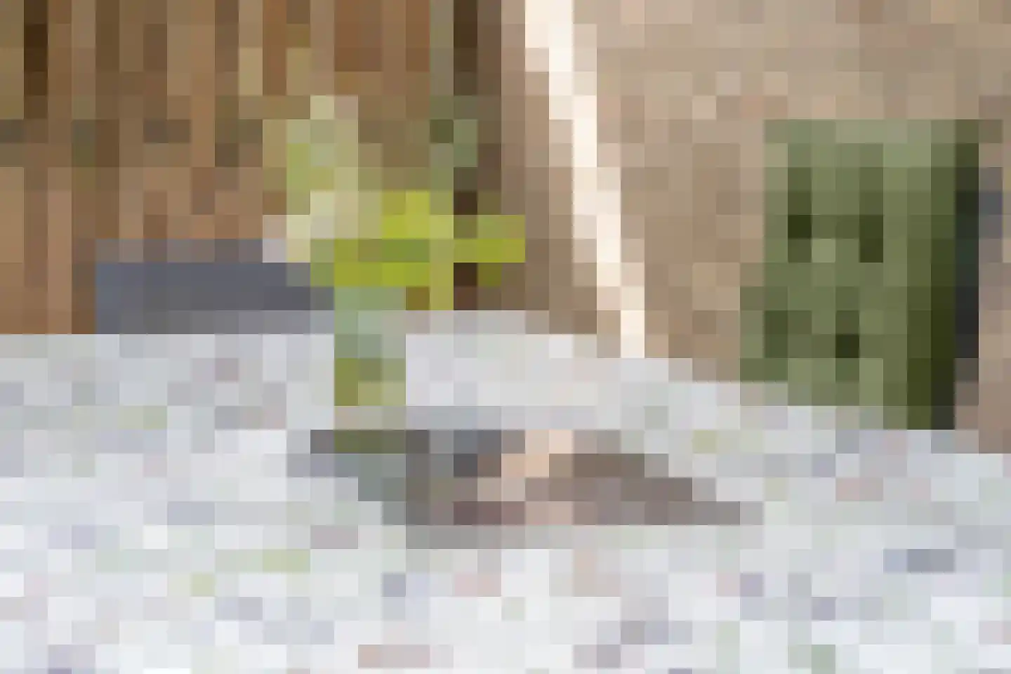 Patrijsakkers 21 Heiloo thumbnail 39