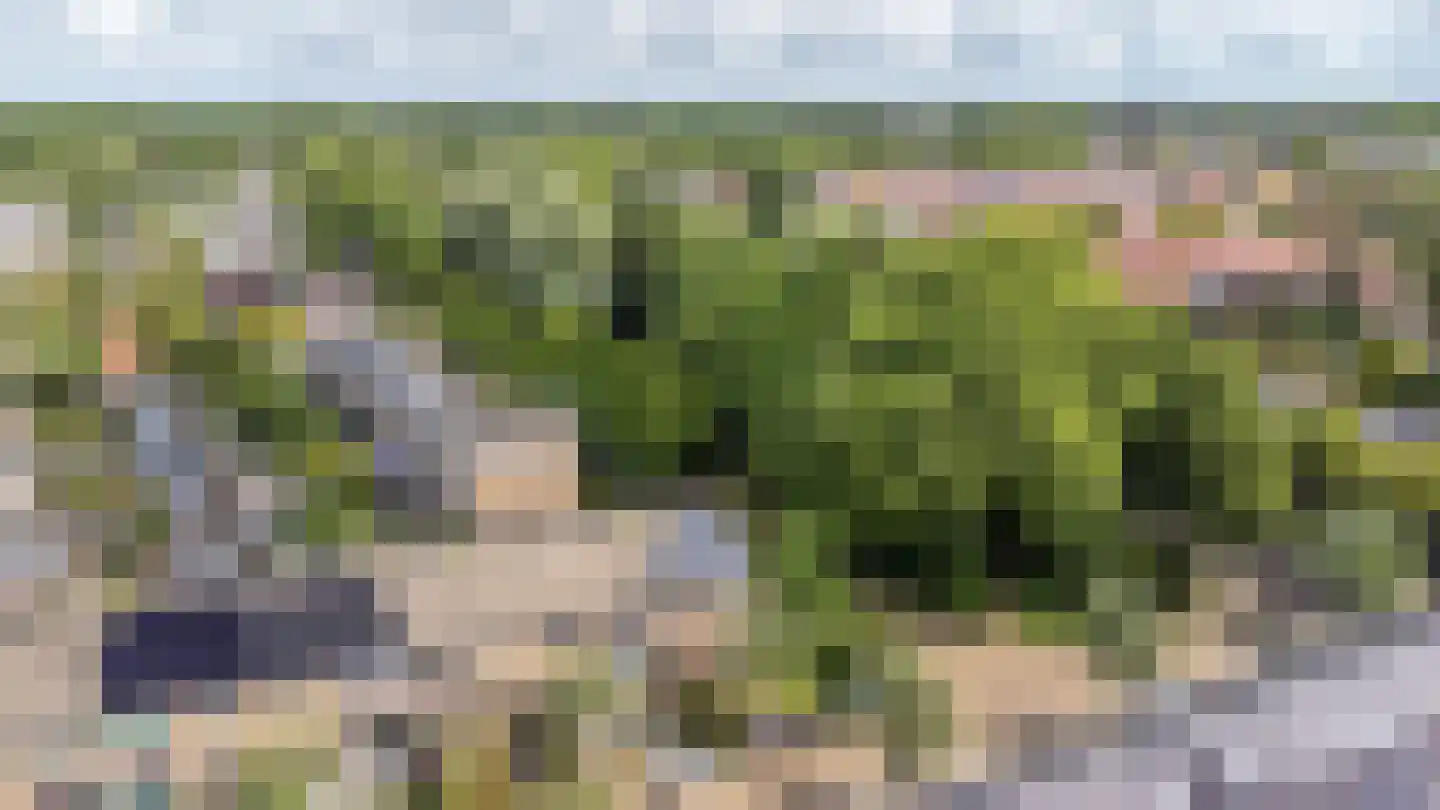 Patrijsakkers 21 Heiloo thumbnail 43