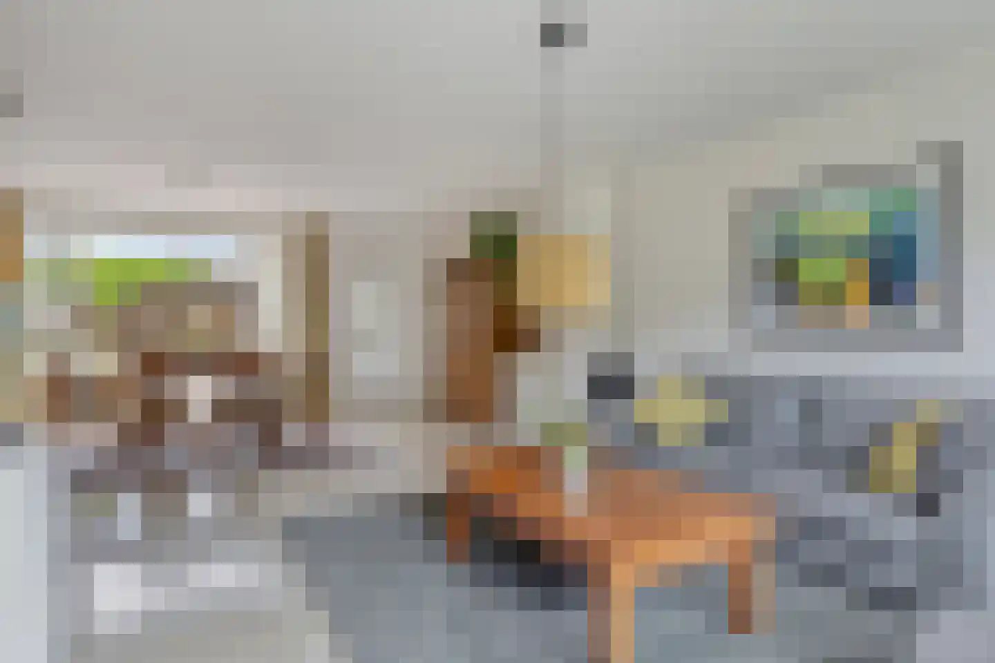 Patrijsdonk 2 Veghel thumbnail 10