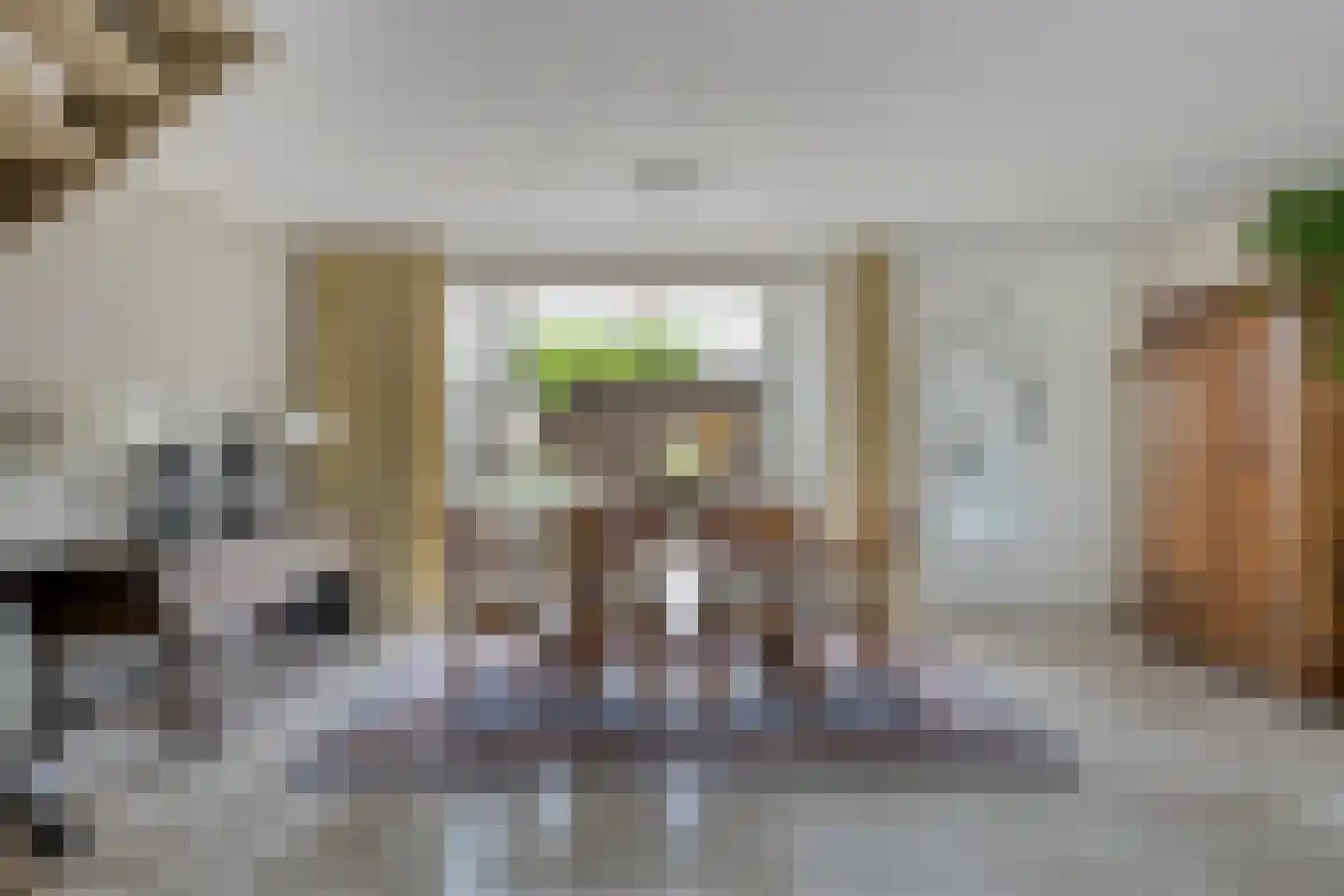 Patrijsdonk 2 Veghel thumbnail 11