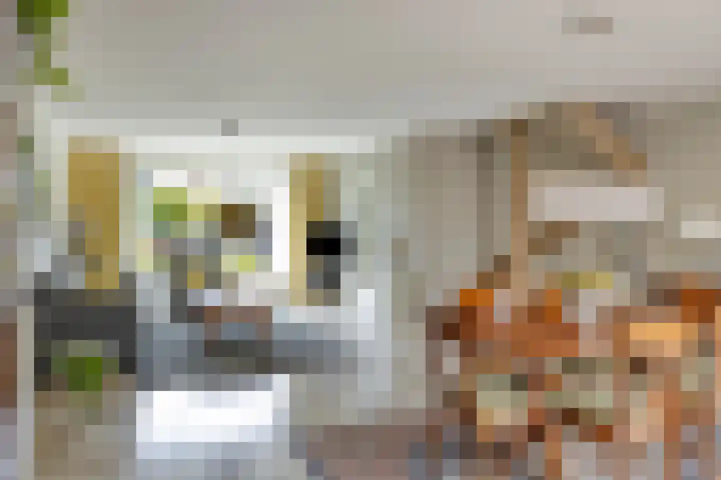 Patrijsdonk 2 Veghel thumbnail 13