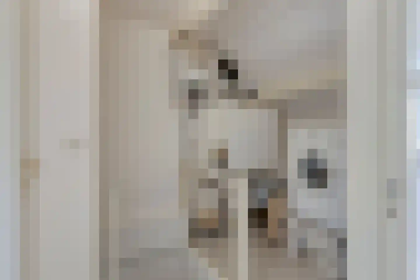 Patrijsdonk 2 Veghel thumbnail 25
