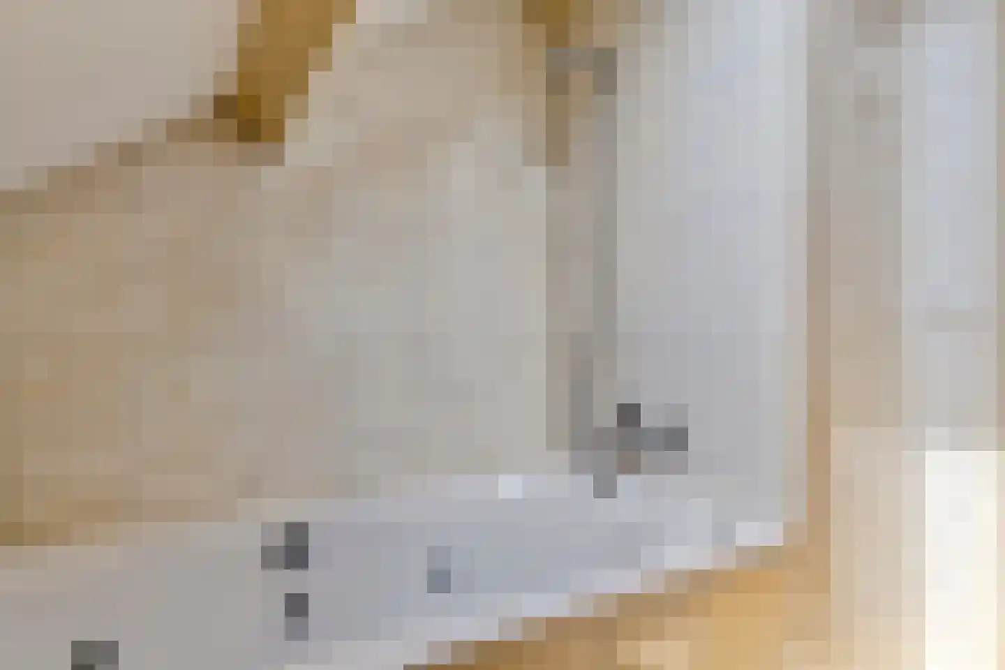 Patrijsdonk 2 Veghel thumbnail 29