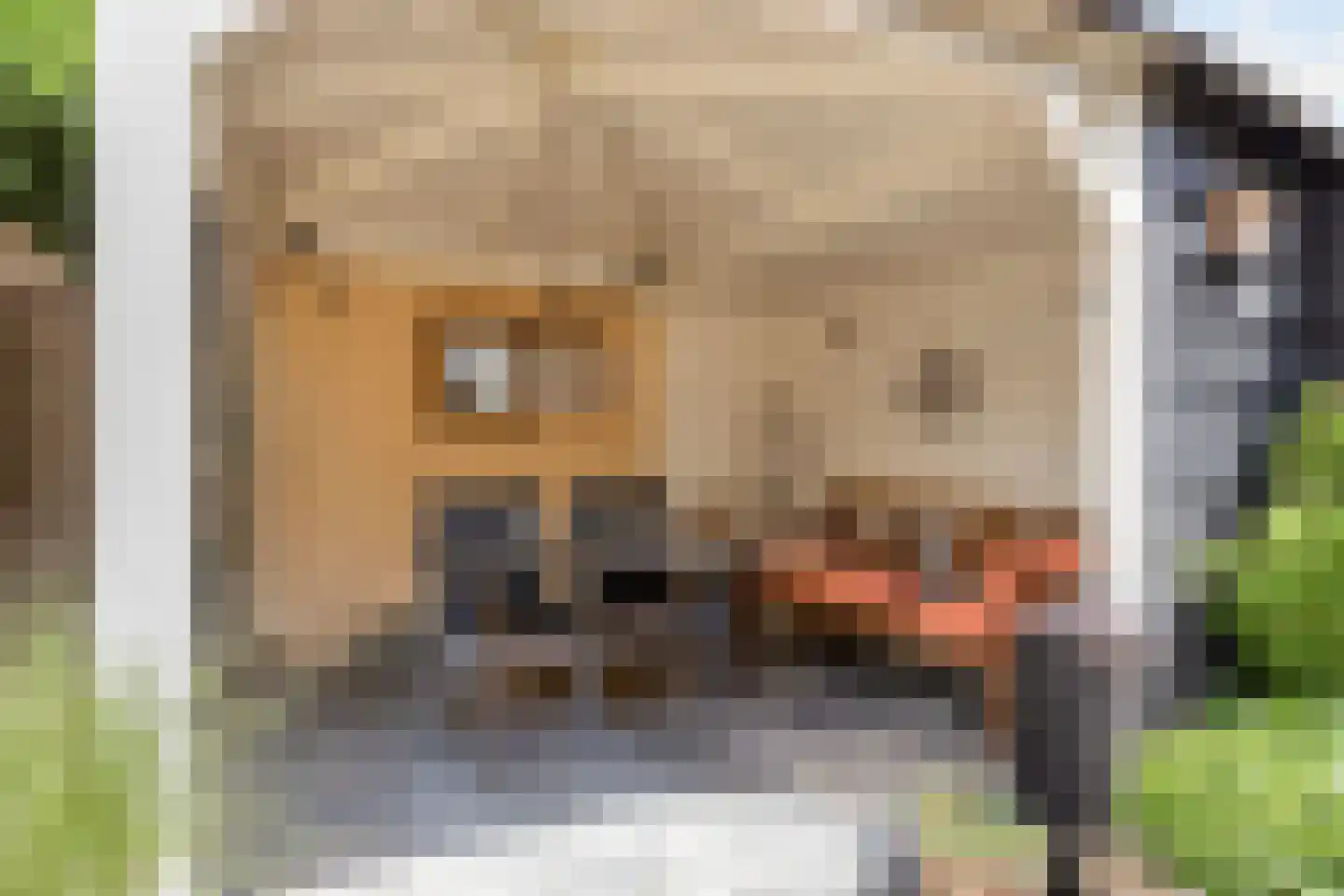 Patrijsdonk 2 Veghel thumbnail 33