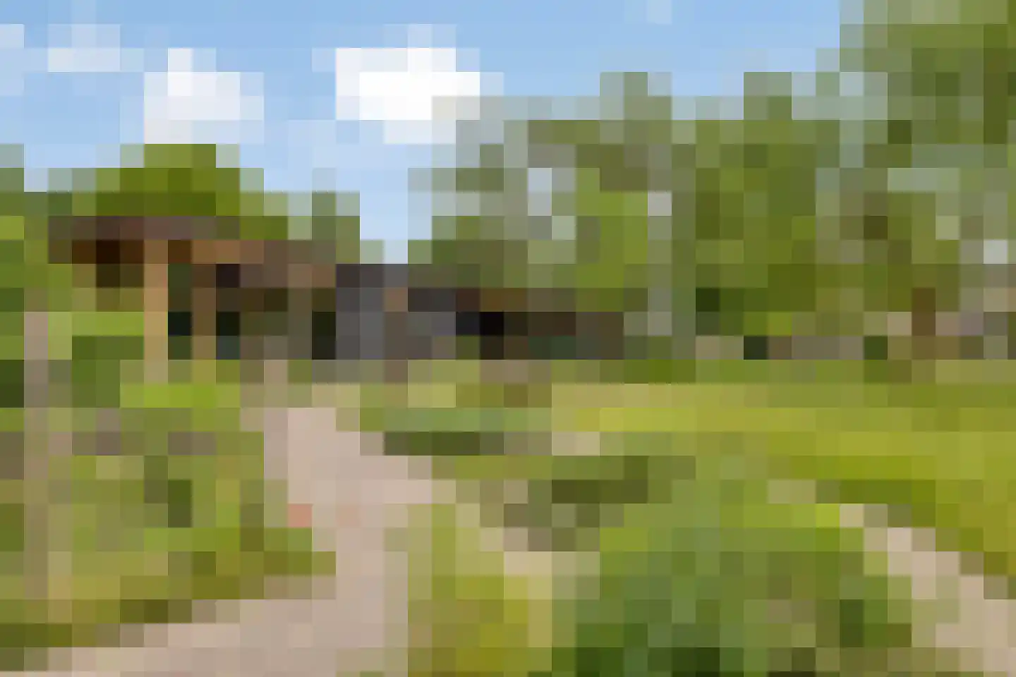 Patrijsdonk 2 Veghel thumbnail 38