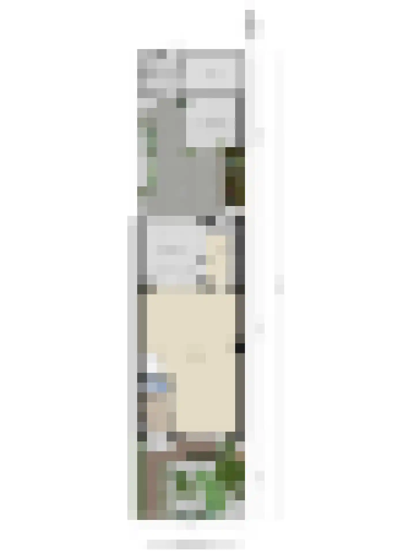 Patrijsdonk 2 Veghel thumbnail 39