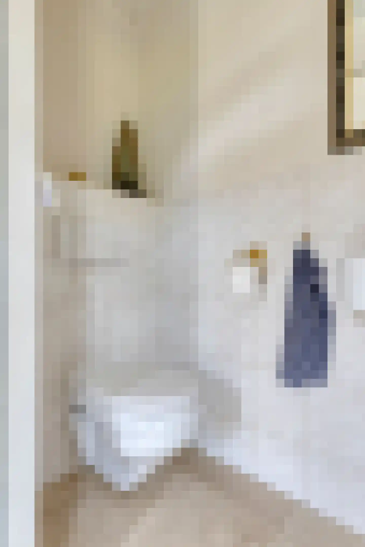 Patrijsdonk 2 Veghel thumbnail 9