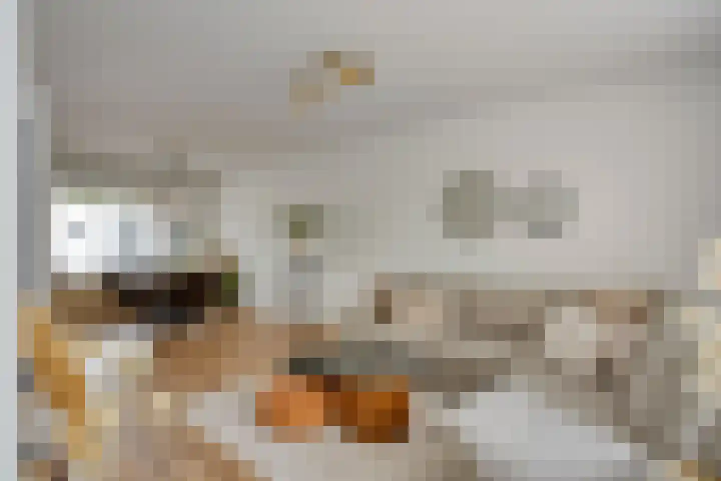 Patrijsdonk 59 Veghel thumbnail 12
