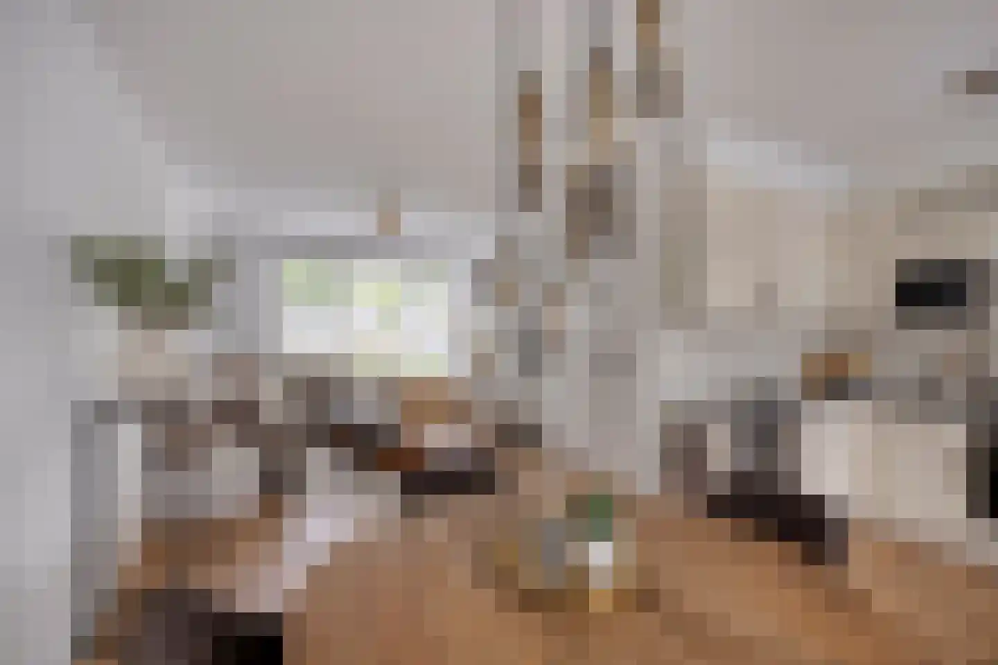 Patrijsdonk 59 Veghel thumbnail 15