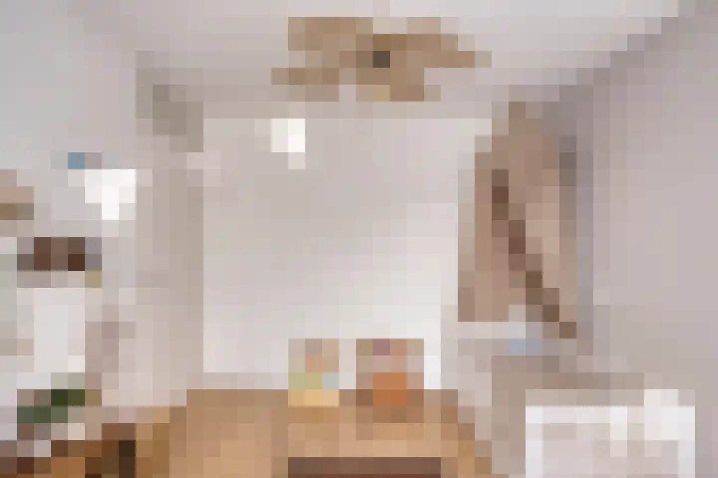Patrijsdonk 59 Veghel thumbnail 24