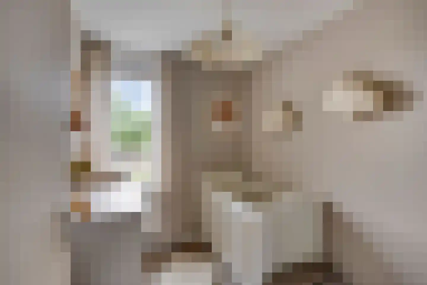 Patrijsdonk 59 Veghel thumbnail 25