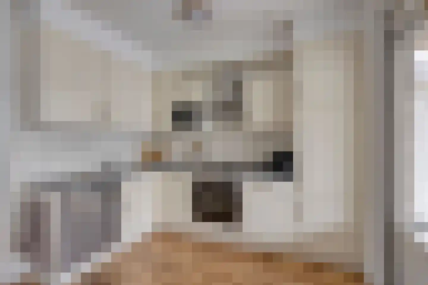 Patrijsdonk 59 Veghel foto 3