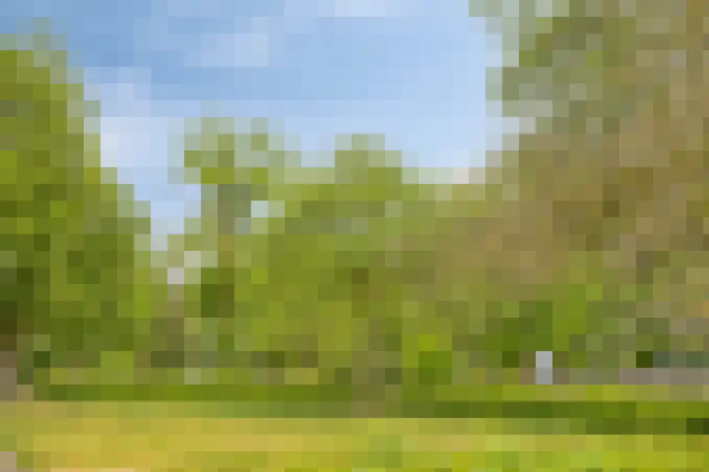 Patrijsdonk 59 Veghel thumbnail 32