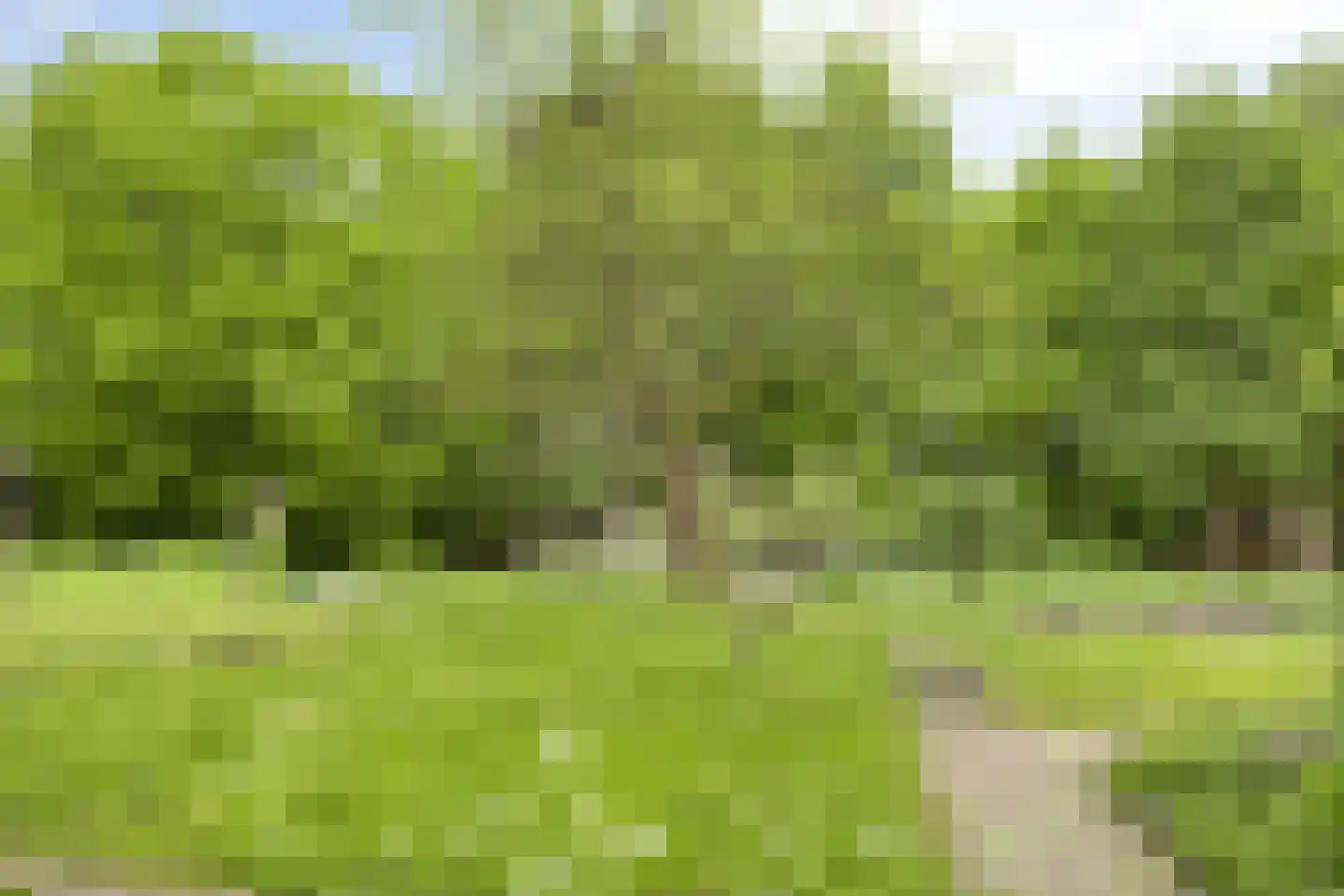 Patrijsdonk 59 Veghel thumbnail 33