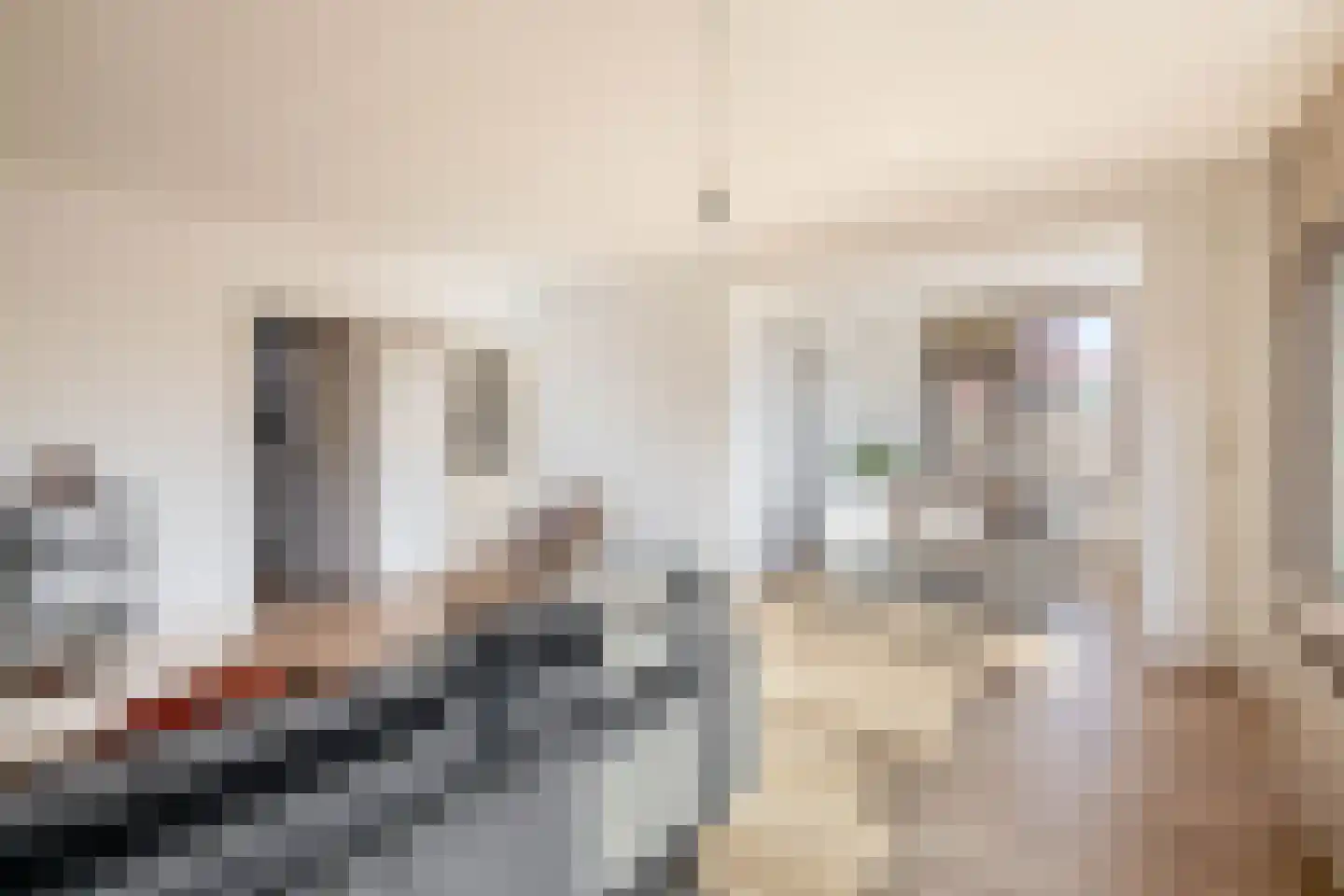 Patrijshoek 17 Spijkenisse thumbnail 10