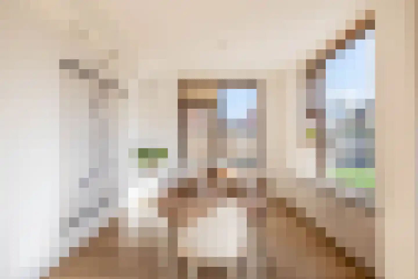 Patrijshoek 17 Spijkenisse thumbnail 11