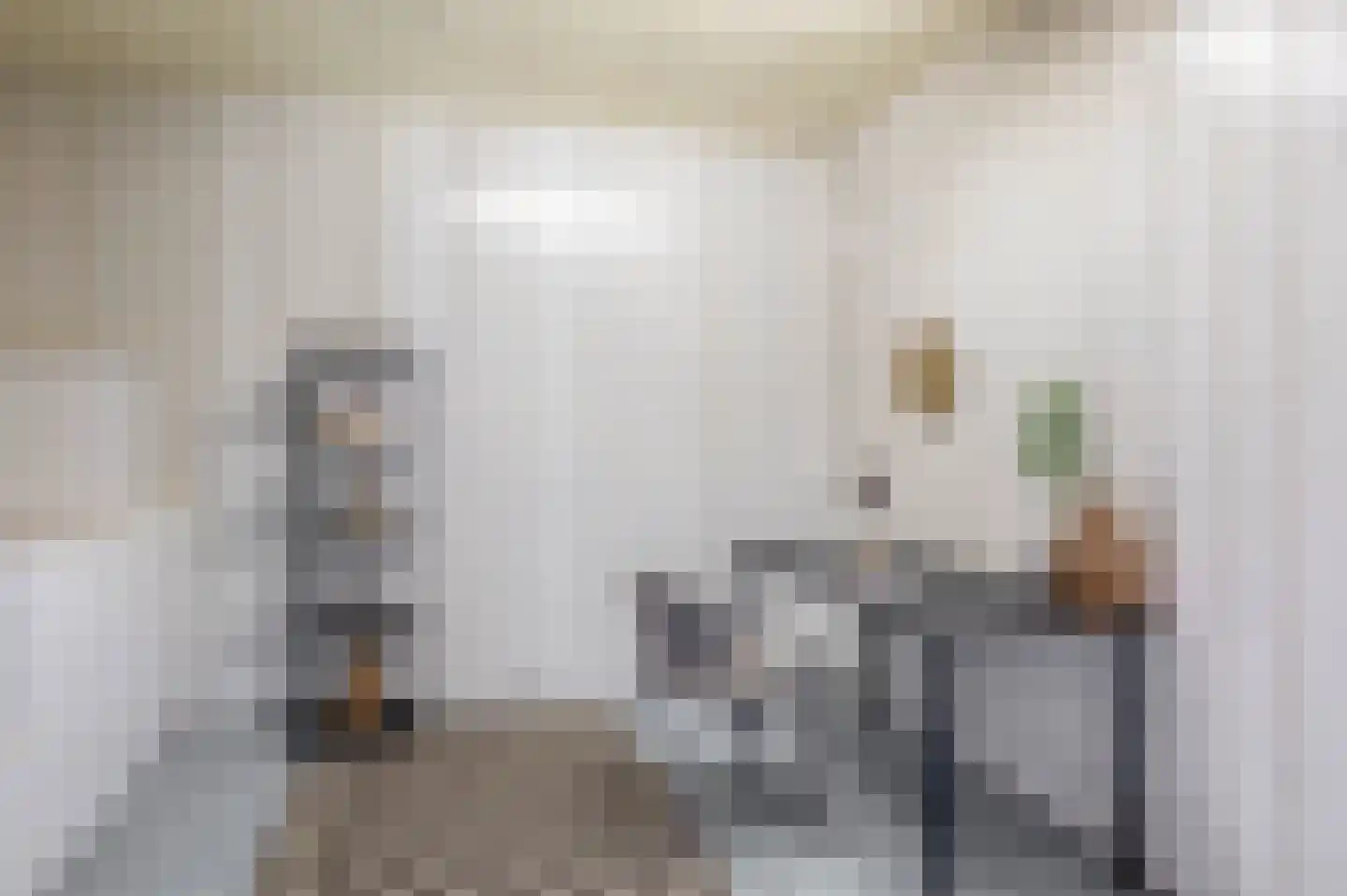 Patrijshoek 17 Spijkenisse thumbnail 19