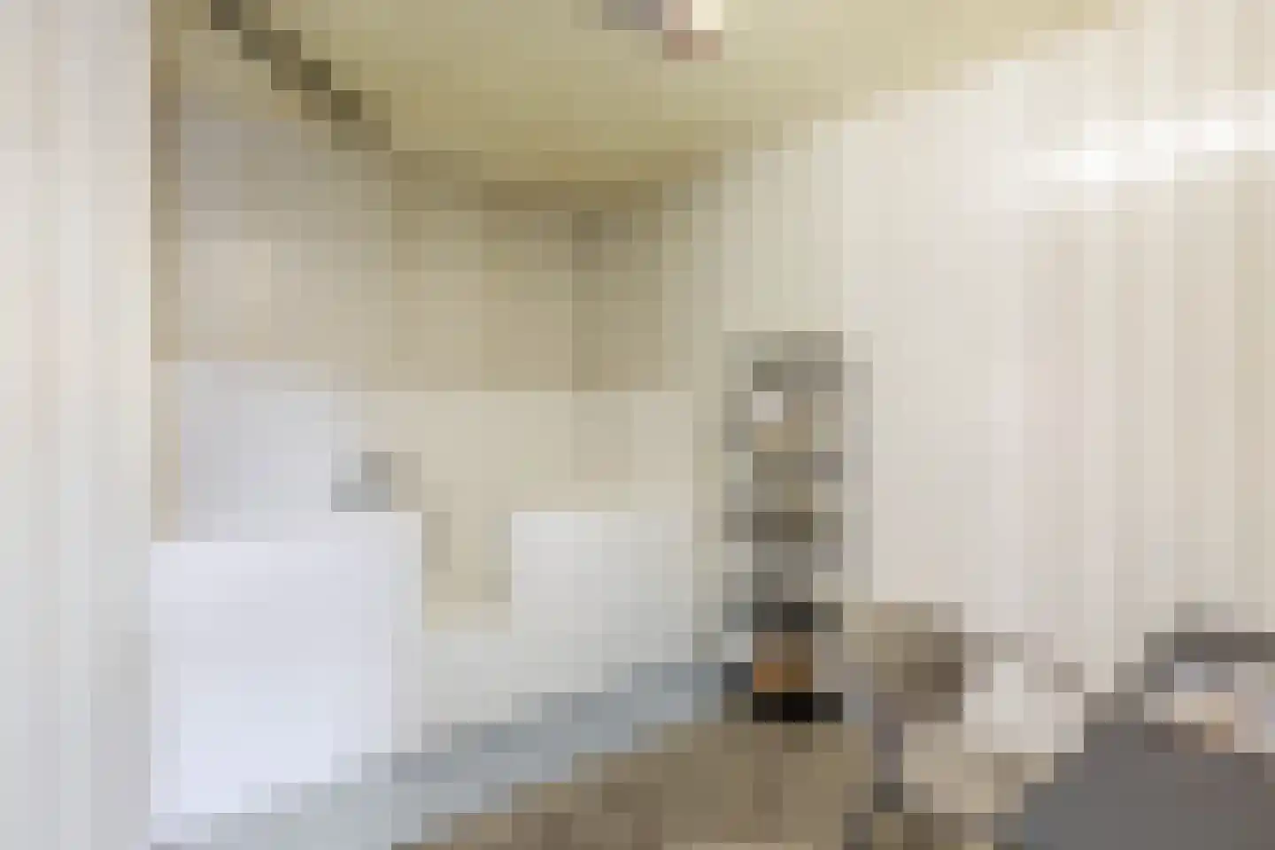 Patrijshoek 17 Spijkenisse thumbnail 20