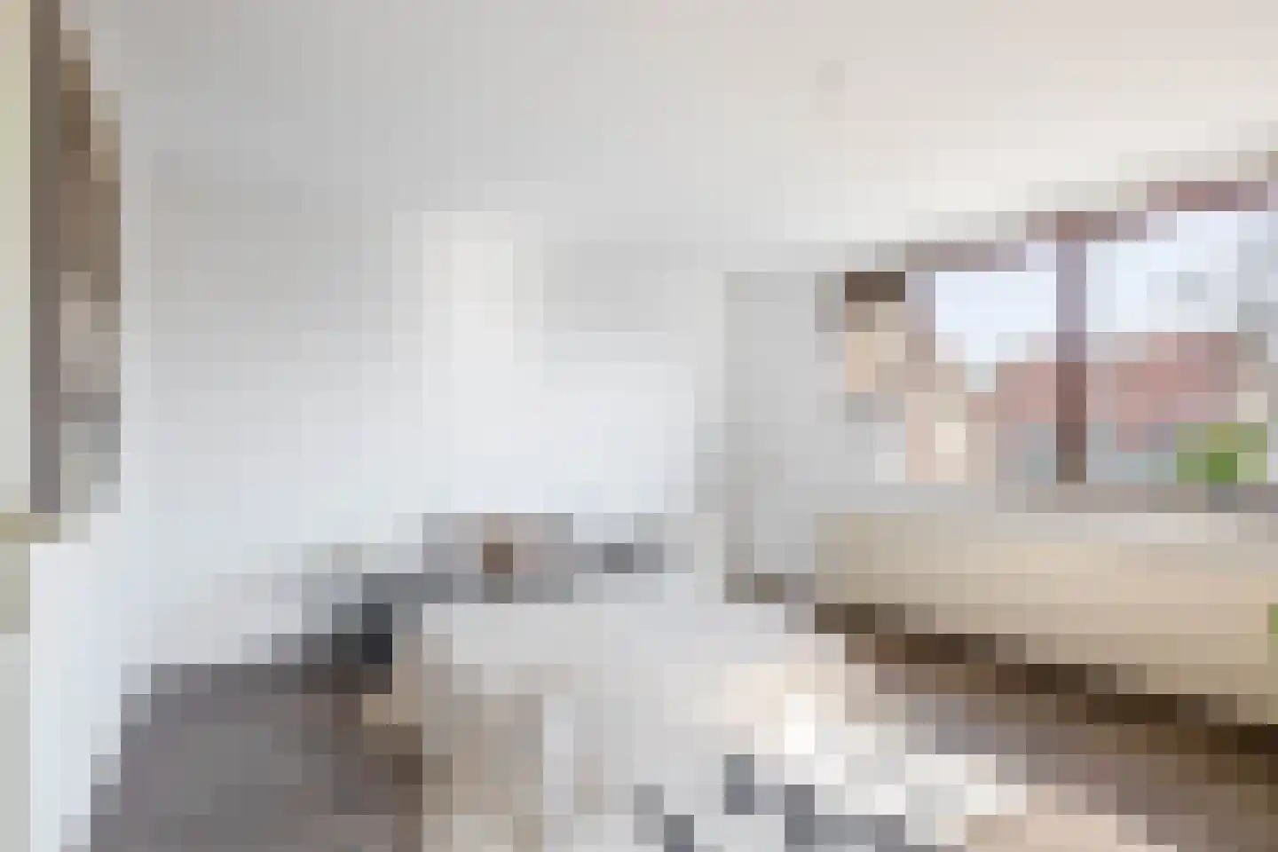Patrijshoek 17 Spijkenisse thumbnail 23