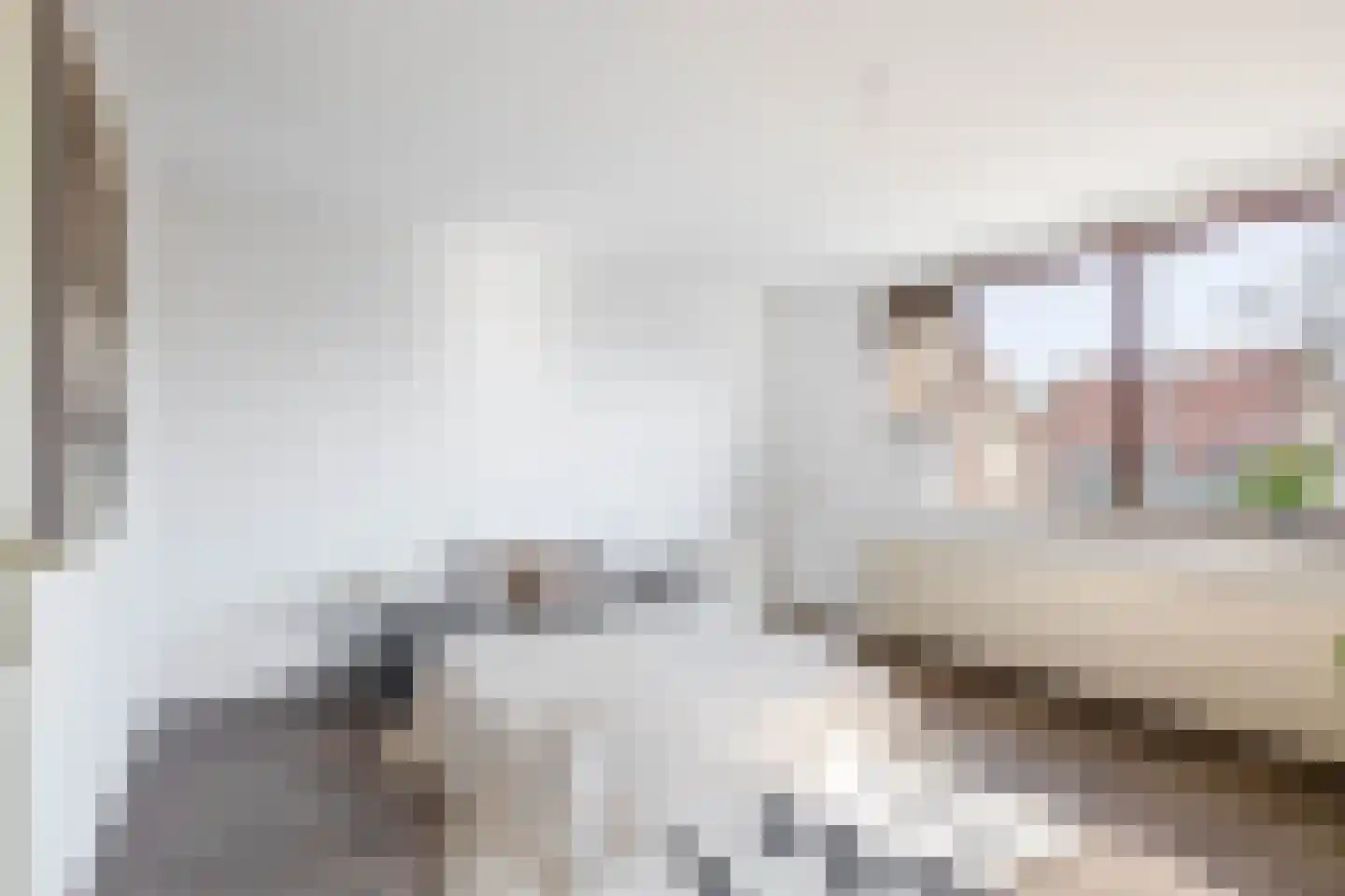 Patrijshoek 17 Spijkenisse thumbnail 24