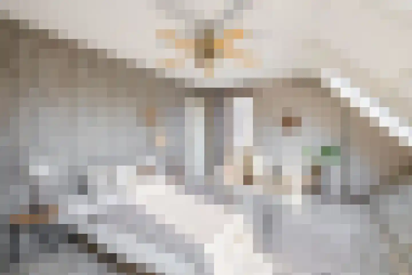 Patrijshoek 17 Spijkenisse thumbnail 24