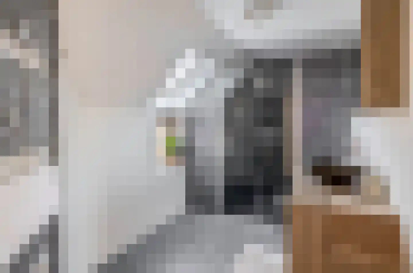 Patrijshoek 17 Spijkenisse thumbnail 26