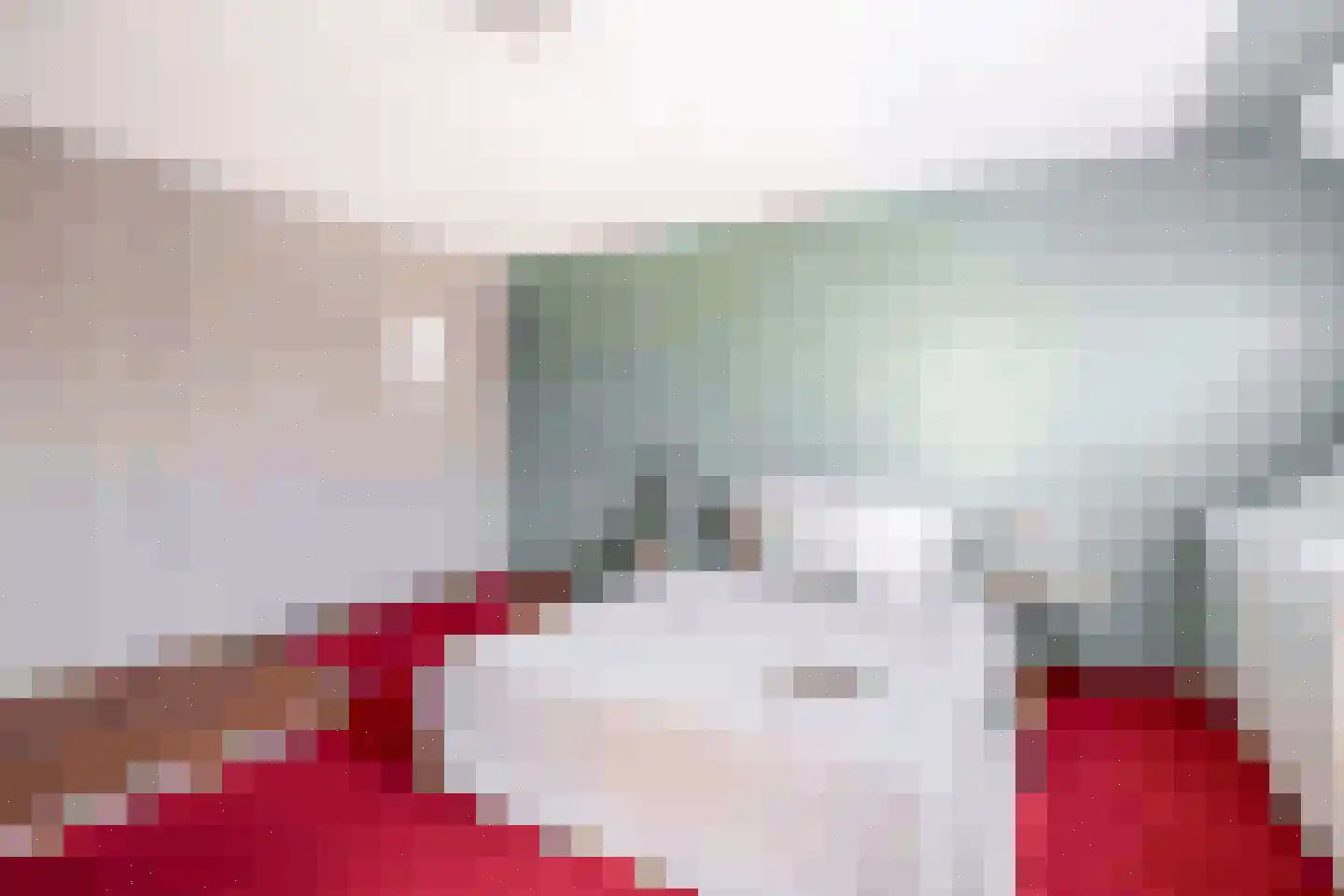 Patrijshoek 17 Spijkenisse thumbnail 28