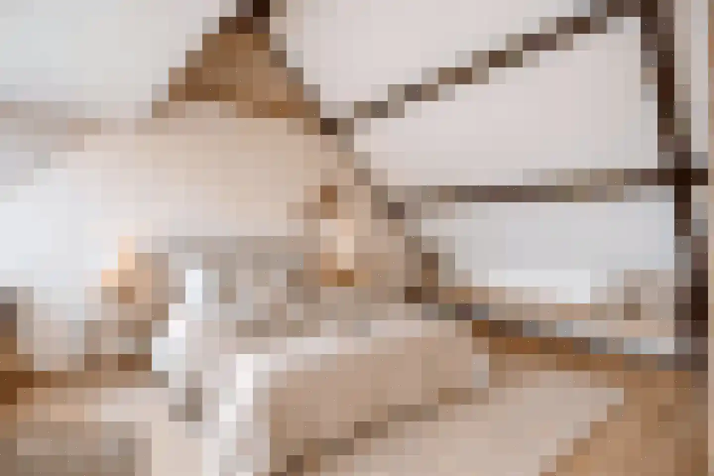 Patrijshoek 17 Spijkenisse thumbnail 31