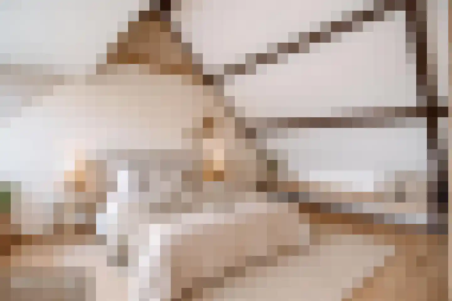 Patrijshoek 17 Spijkenisse thumbnail 32
