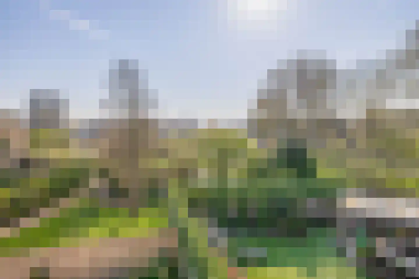 Patrijshoek 17 Spijkenisse thumbnail 34