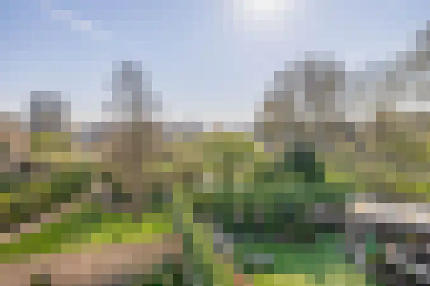 Patrijshoek 17 Spijkenisse thumbnail 35