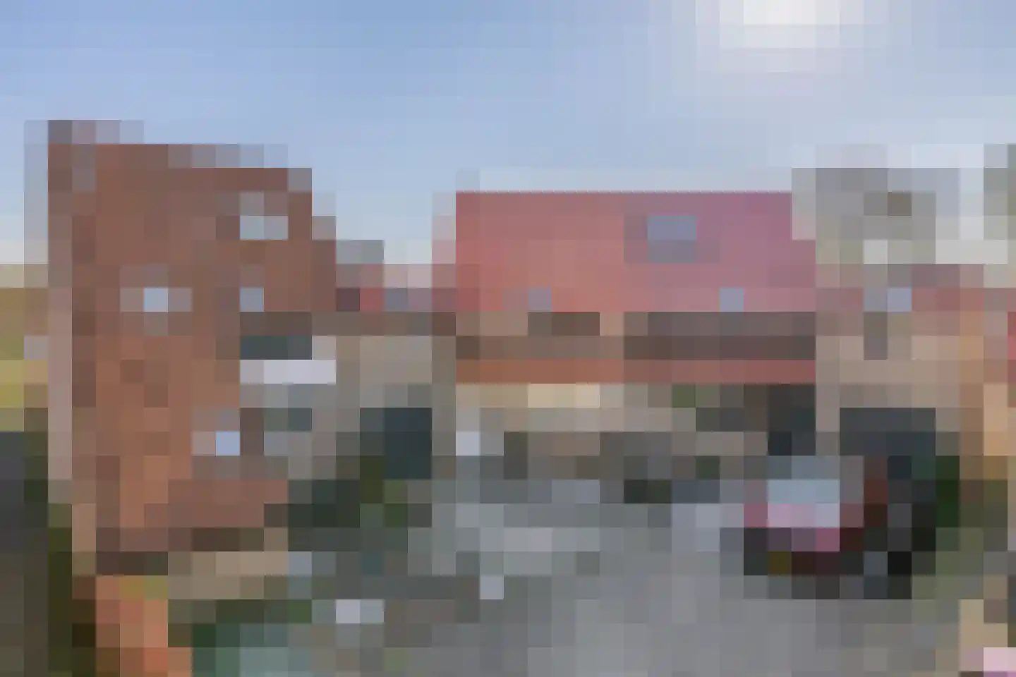 Patrijshoek 17 Spijkenisse thumbnail 36