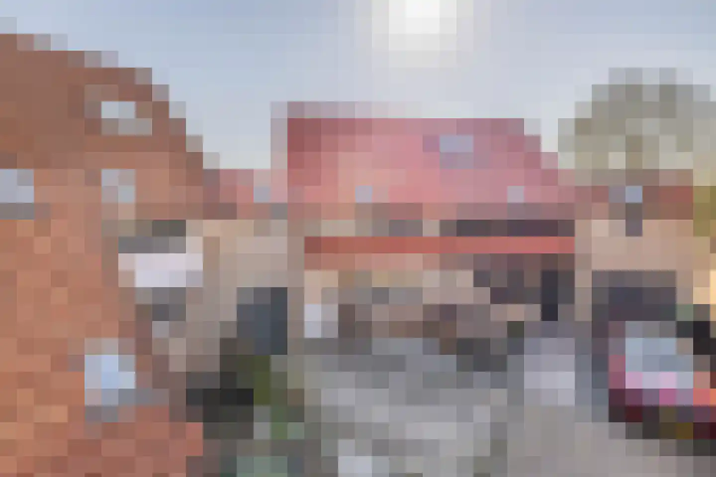 Patrijshoek 17 Spijkenisse thumbnail 38