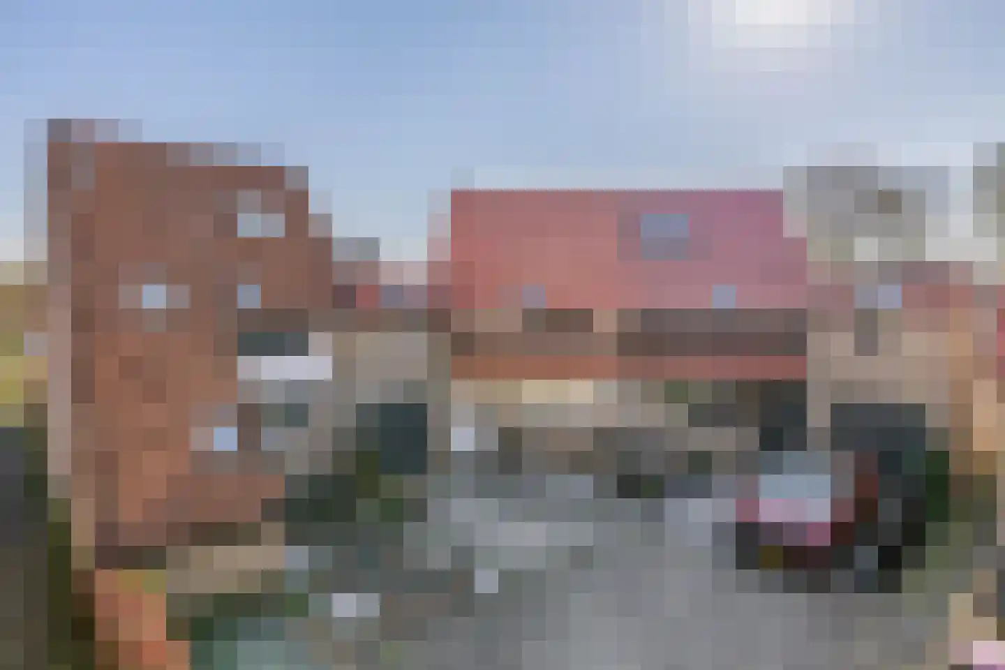 Patrijshoek 17 Spijkenisse thumbnail 6
