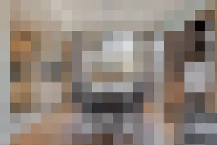 Patrijshoek 26 Spijkenisse thumbnail 10
