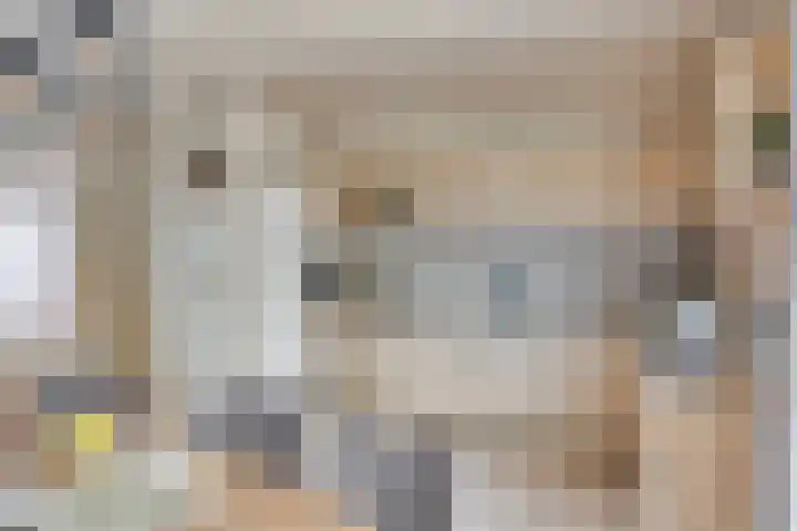 Patrijshoek 26 Spijkenisse thumbnail 11