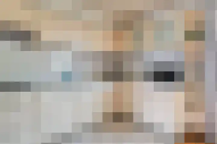 Patrijshoek 26 Spijkenisse thumbnail 12