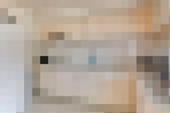 Patrijshoek 26 Spijkenisse thumbnail 13
