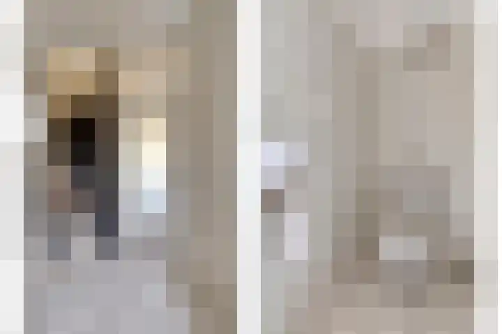 Patrijshoek 26 Spijkenisse thumbnail 15