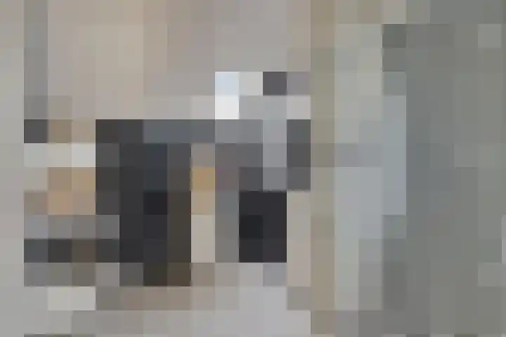 Patrijshoek 26 Spijkenisse thumbnail 17
