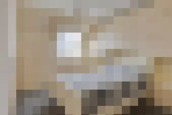 Patrijshoek 26 Spijkenisse thumbnail 19