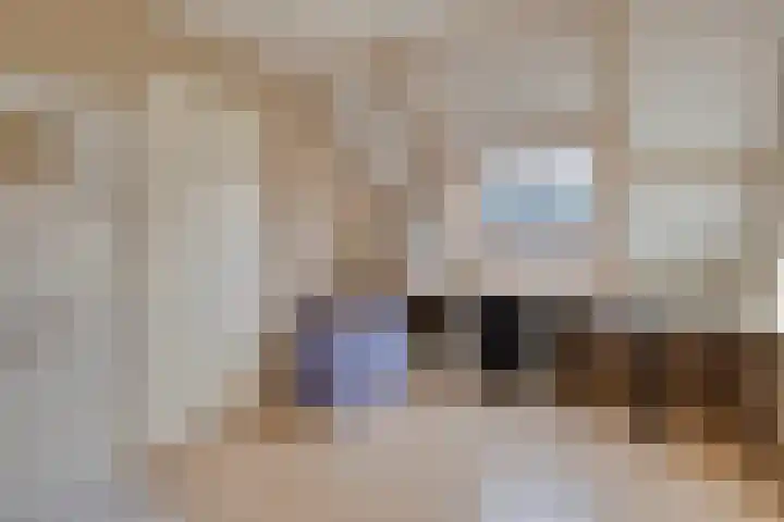 Patrijshoek 26 Spijkenisse thumbnail 27
