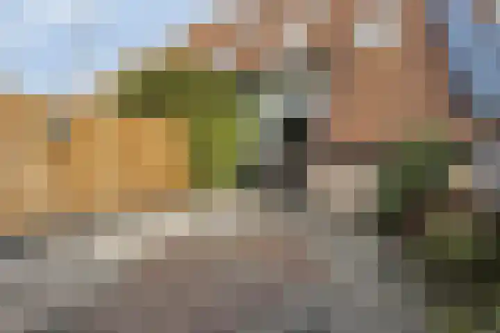 Patrijshoek 26 Spijkenisse thumbnail 30